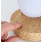Bird Night Lamp with Bluetooth Speaker – CE & RoHS Certified Soft Dimmable Nursery Light - Domus formosa